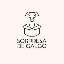 Sorpresa De Galgo FCI italian greyhounds